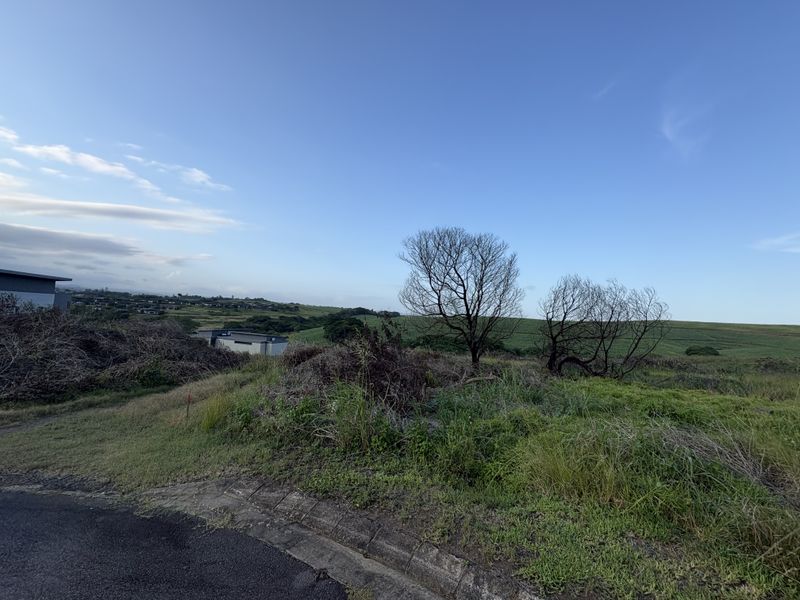 PERFECT PIECE OF LAND! - Photo 2