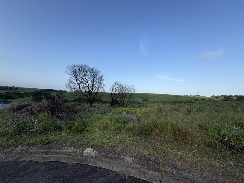 PERFECT PIECE OF LAND! - Photo 4