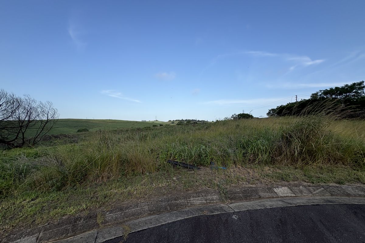 PERFECT PIECE OF LAND! - Photo 3