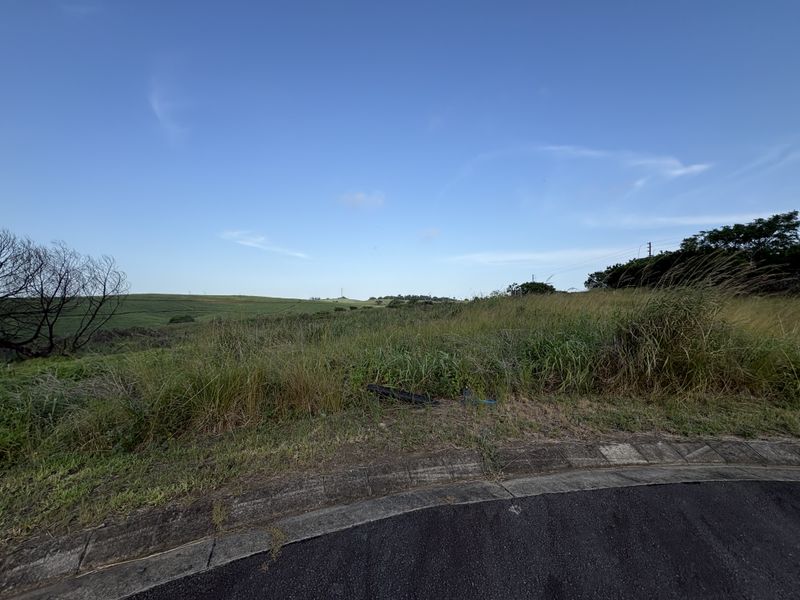 PERFECT PIECE OF LAND! - Photo 3