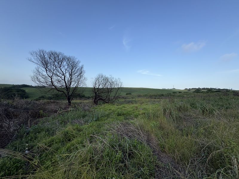 PERFECT PIECE OF LAND! - Photo 5