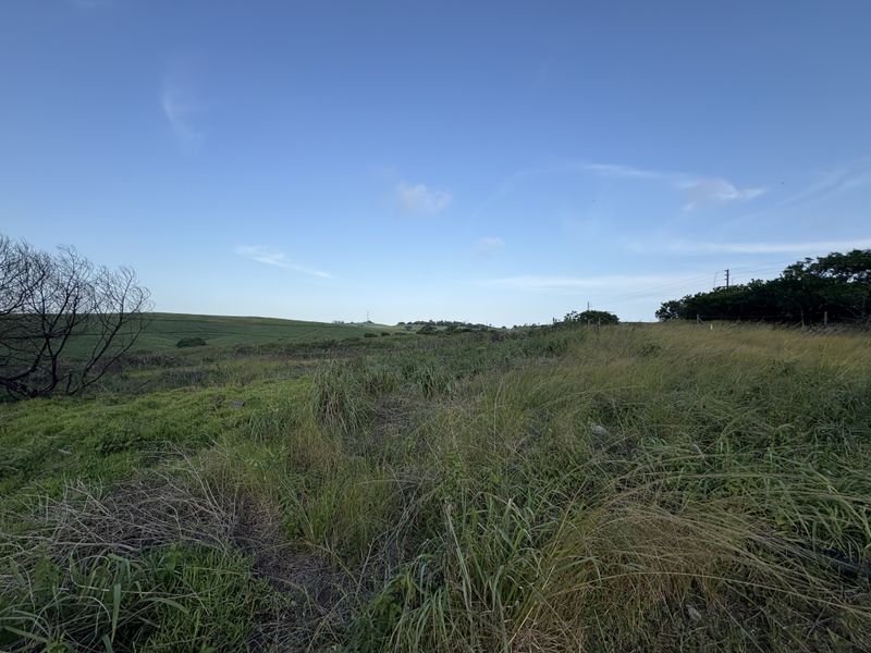 PERFECT PIECE OF LAND! - Photo 1