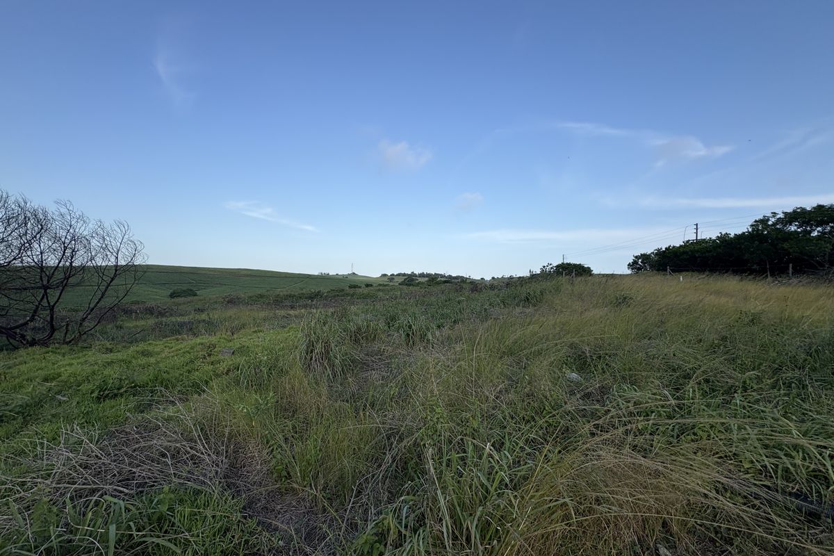 A wide-angle view of a vacant residential plot featuring natural grassy terrain and rolling landscape under a clear blue sky.