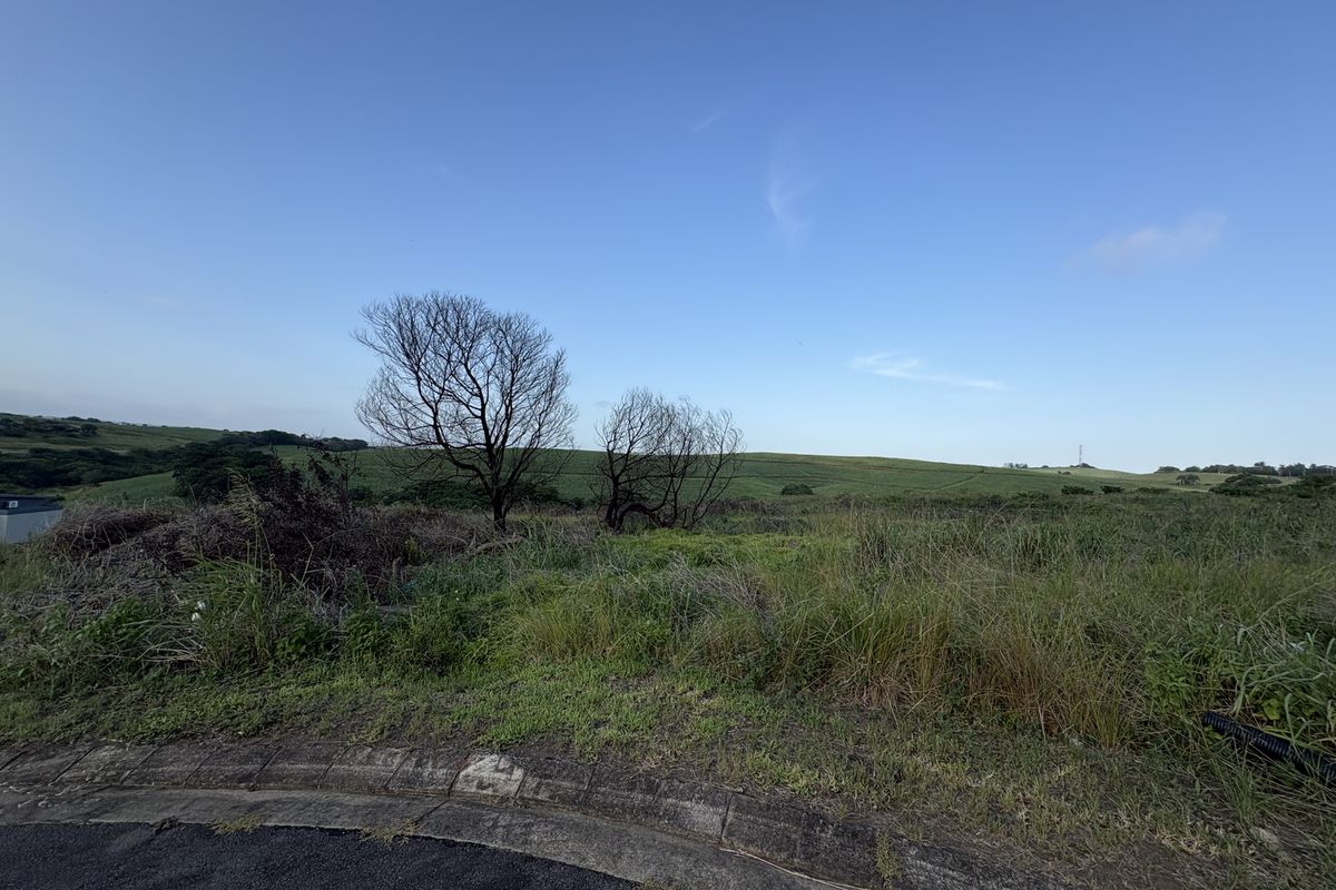 A view of a vacant residential plot featuring natural vegetation and rolling landscape, accessible from a paved street.