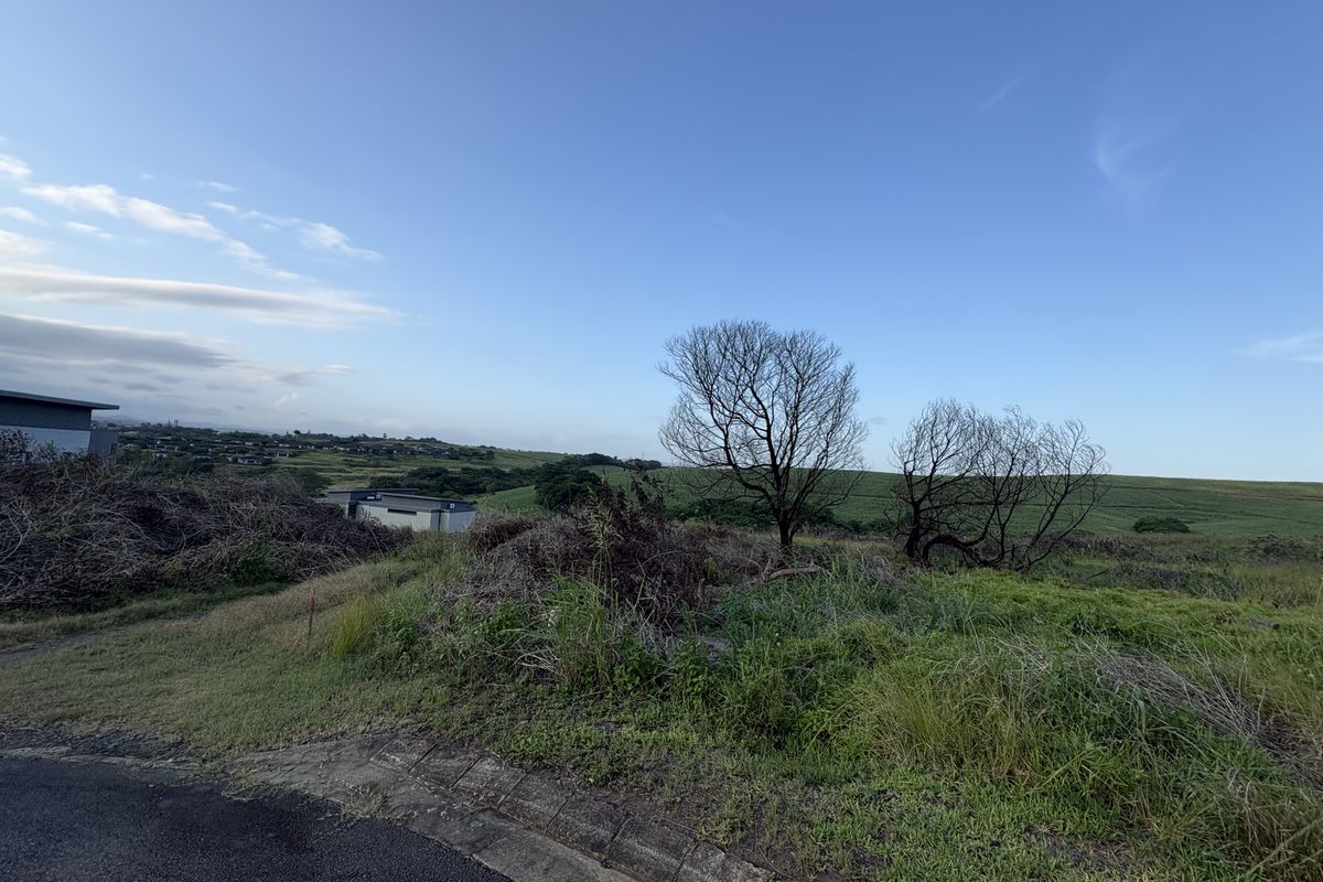 A view of a vacant residential plot featuring natural vegetation and surrounding landscape, offering potential for future development.