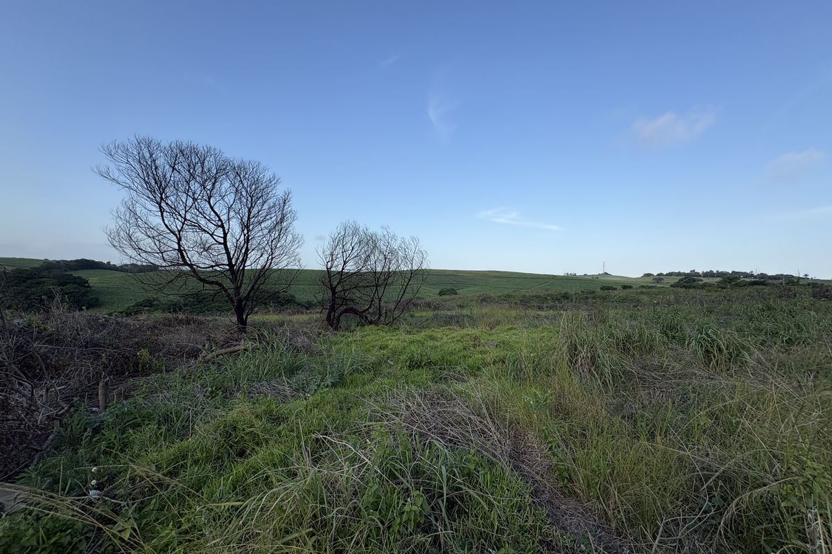 A wide-angle view of a vacant residential plot featuring natural grassland, rolling terrain, and mature trees under a clear blue sky.