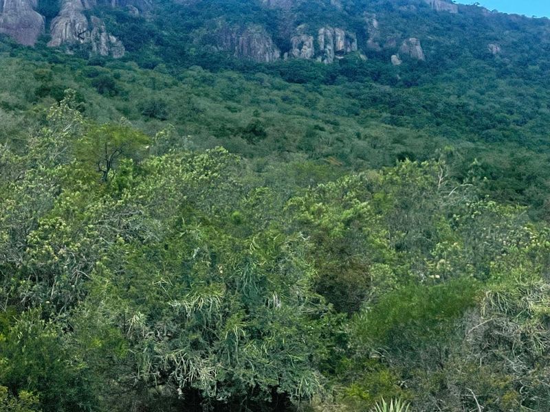 A scenic view of the lush, forested hillside and rocky mountain terrain surrounding the farm property.