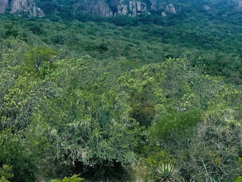 A scenic landscape view showcasing the natural vegetation and rocky mountain terrain surrounding the farm property.