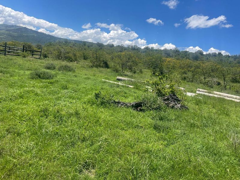 Expansive open pasture land featuring natural vegetation, rolling hills in the background, and timber post and rail boundary fencing.