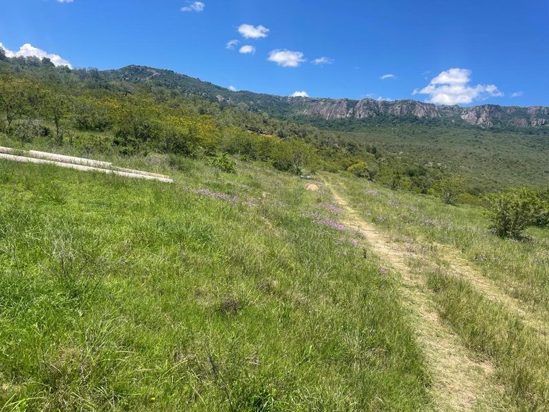A scenic view of the expansive farm landscape featuring natural vegetation, rolling hills, and a mountain range backdrop.