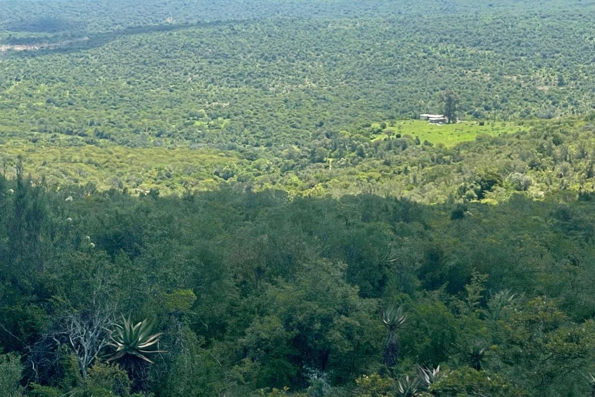 A scenic, elevated landscape view overlooking a vast, lush green valley and dense forest terrain.