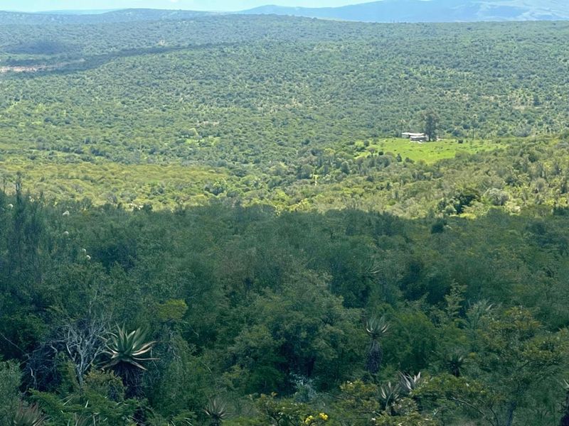 A scenic, elevated landscape view overlooking a vast, lush green valley and dense forest terrain.