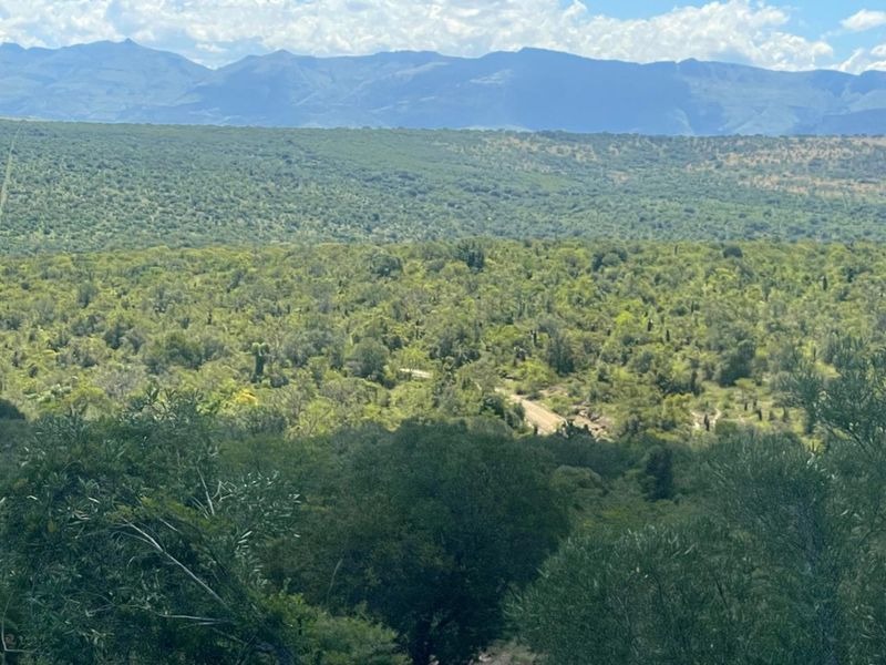 A scenic, elevated landscape view overlooking expansive natural vegetation, rolling hills, and distant mountains.
