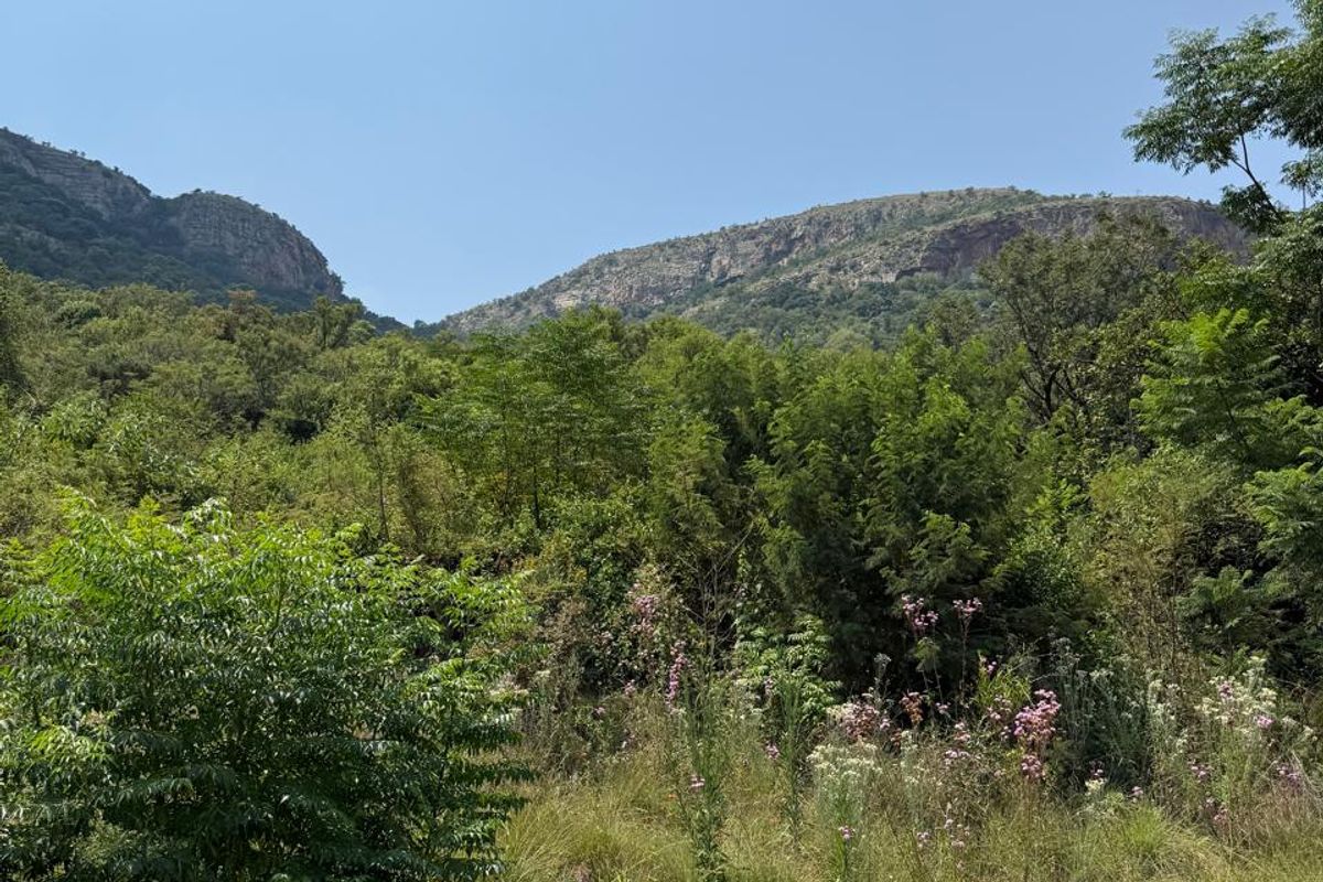 Prime Vacant Stand with Stunning Dam Views – Hartbeespoort - Photo 2