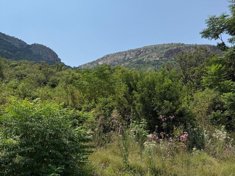 Prime Vacant Stand with Stunning Dam Views – Hartbeespoort - Photo 2