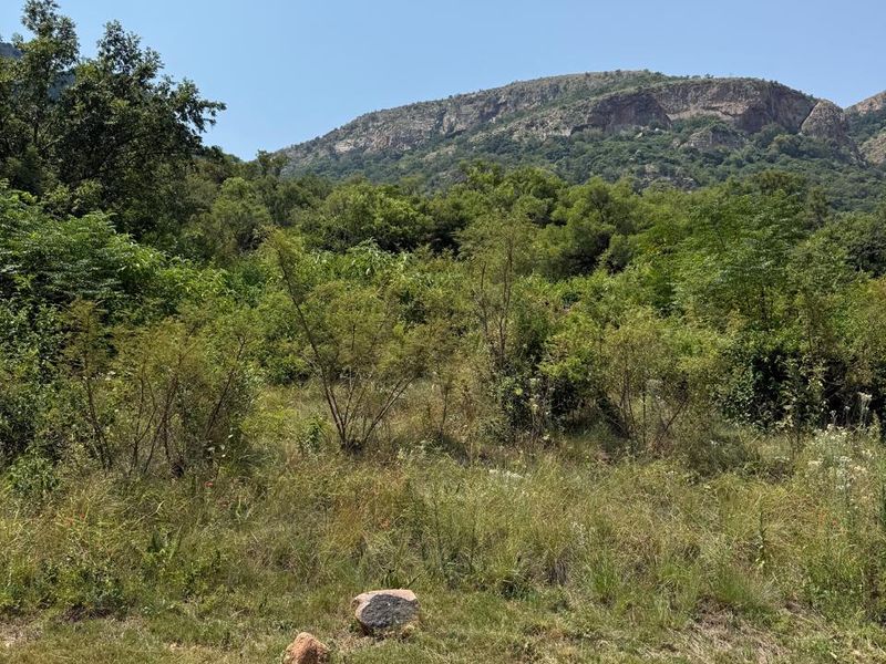 Prime Vacant Stand with Stunning Dam Views – Hartbeespoort - Photo 4