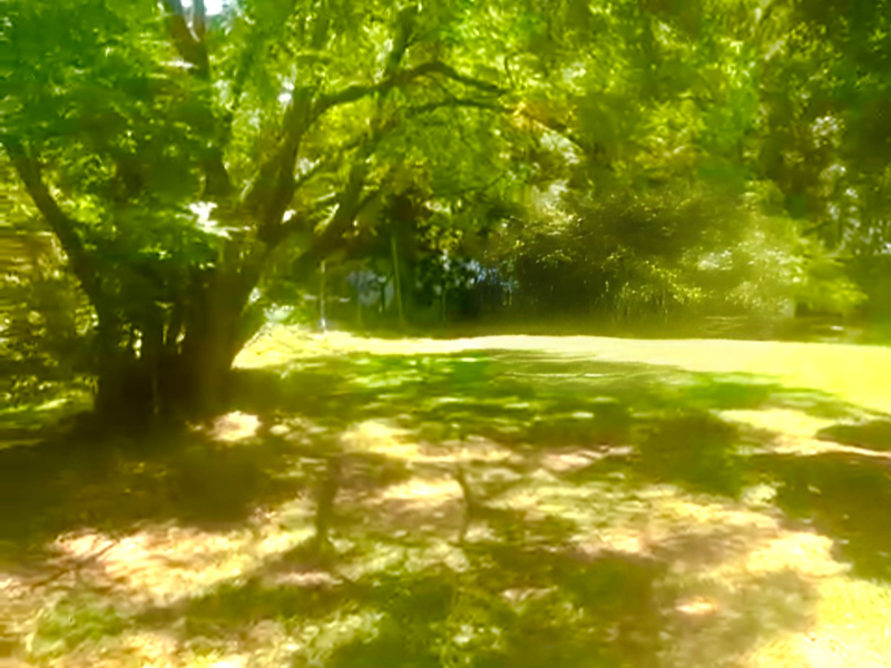 Gold is valuable and this land is GOLD IN MORNINGSIDE - Photo 5