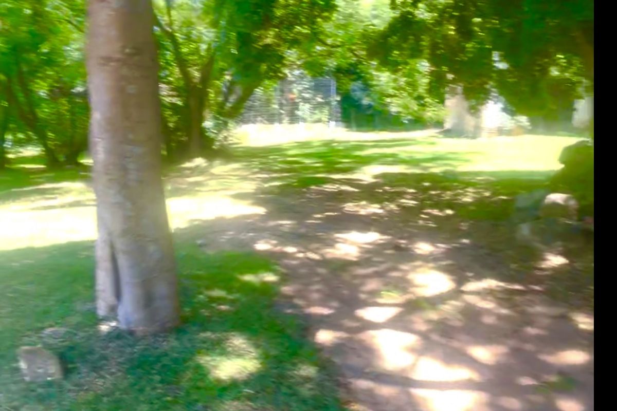 Gold is valuable and this land is GOLD IN MORNINGSIDE - Photo 3