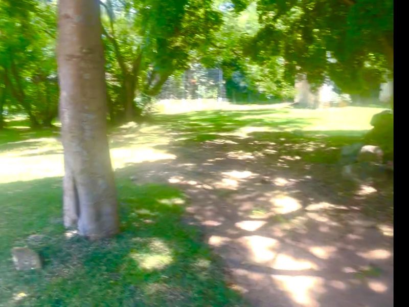 Gold is valuable and this land is GOLD IN MORNINGSIDE - Photo 3