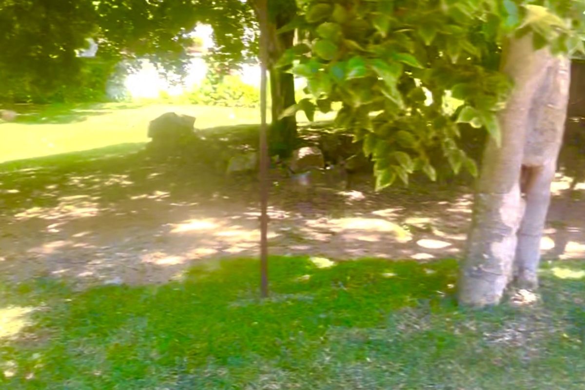 Gold is valuable and this land is GOLD IN MORNINGSIDE - Photo 2