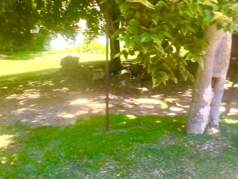 Gold is valuable and this land is GOLD IN MORNINGSIDE - Photo 2