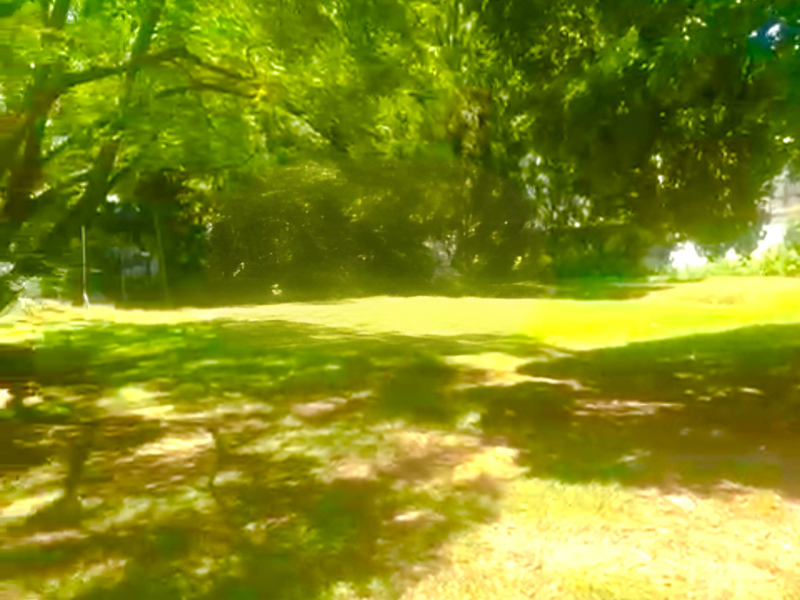 Gold is valuable and this land is GOLD IN MORNINGSIDE - Photo 6