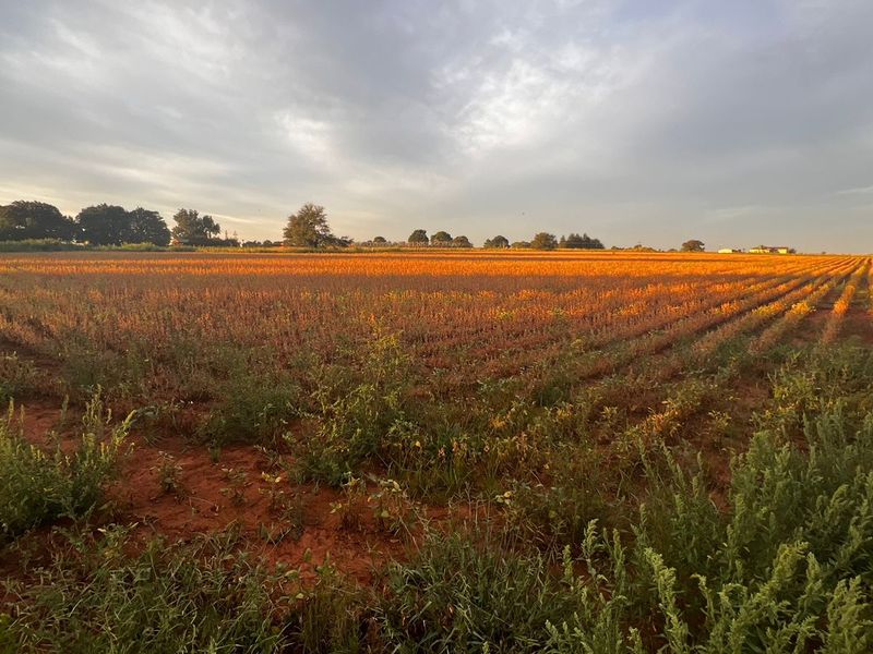 Agricultural land for sale - Photo 3