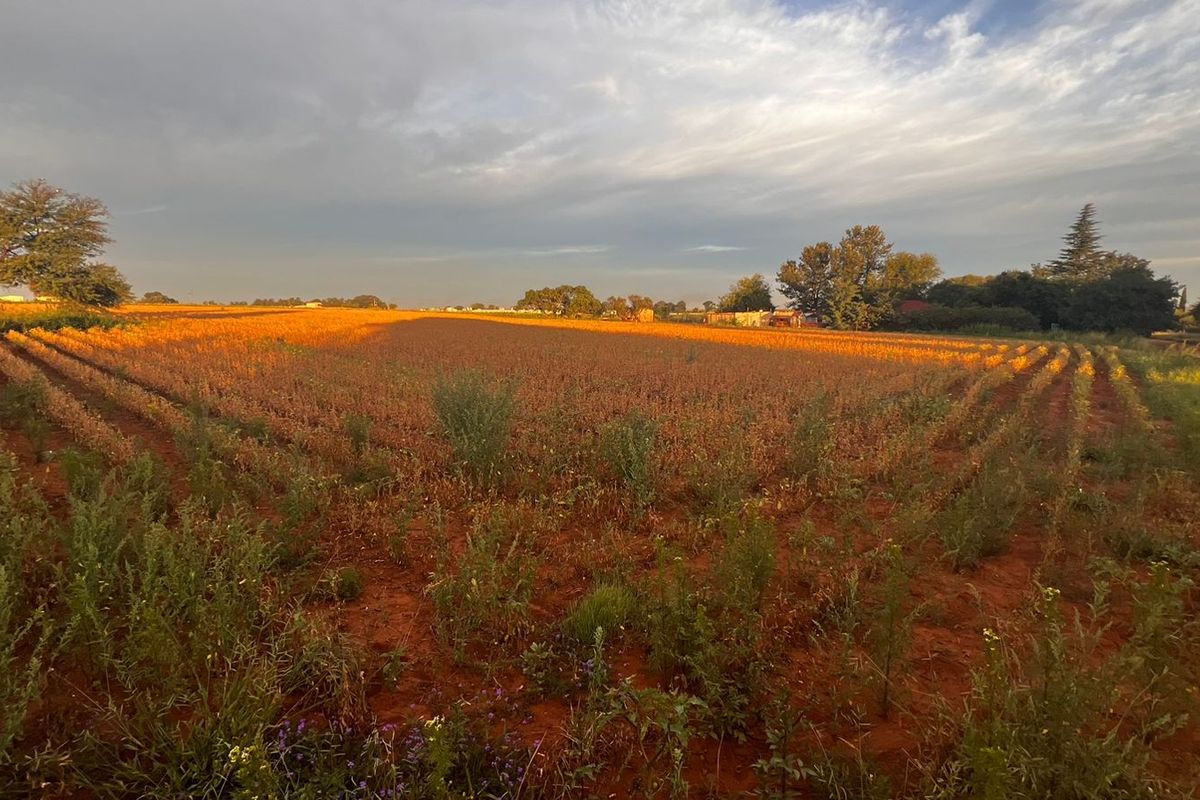 Agricultural land for sale - Photo 2