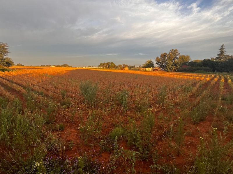 Agricultural land for sale - Photo 2