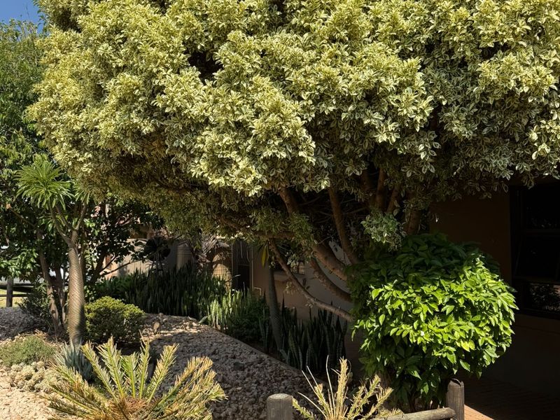 Charming 3-Bed Family Haven in Secure Melodie Estate for R2 mil - Photo 5