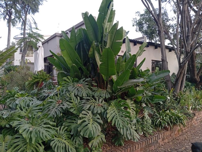House Rental Monthly In Pretoria - Photo 10