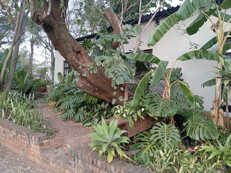 House Rental Monthly In Pretoria - Photo 8