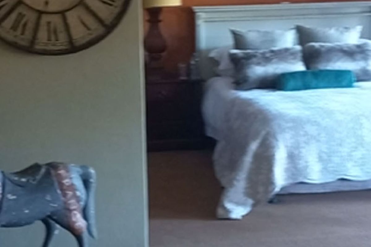 A view through an arched doorway into a bedroom featuring a bed with a headboard and wall-mounted lighting.