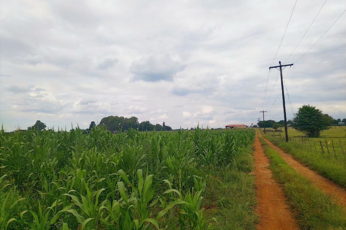 Prime location, Turnkey agricultural operation, ready for its next chapter - Photo 2