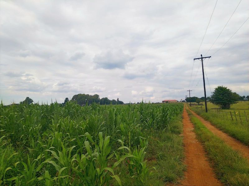 Prime location, Turnkey agricultural operation, ready for its next chapter - Photo 2