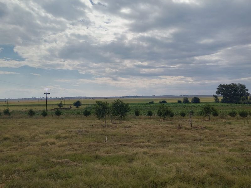 Prime location, Turnkey agricultural operation, ready for its next chapter - Photo 5