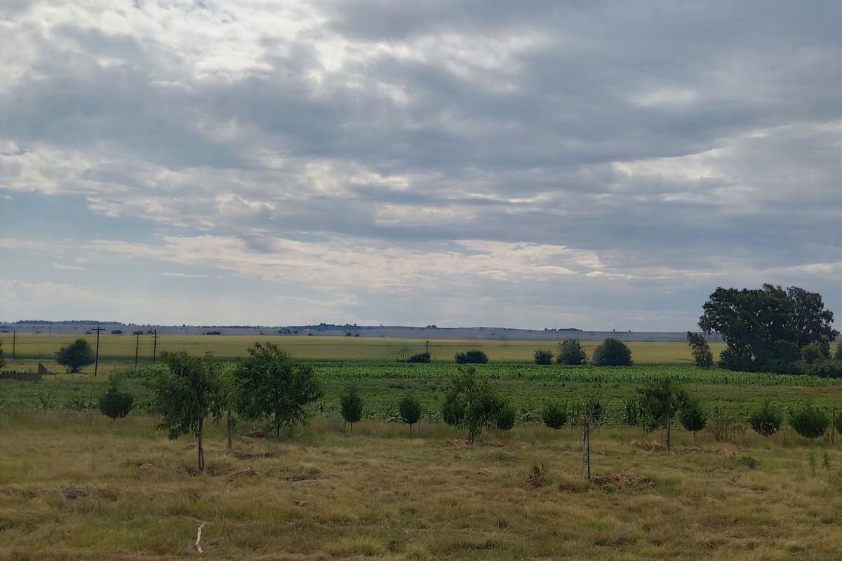 Prime location, Turnkey agricultural operation, ready for its next chapter - Photo 4