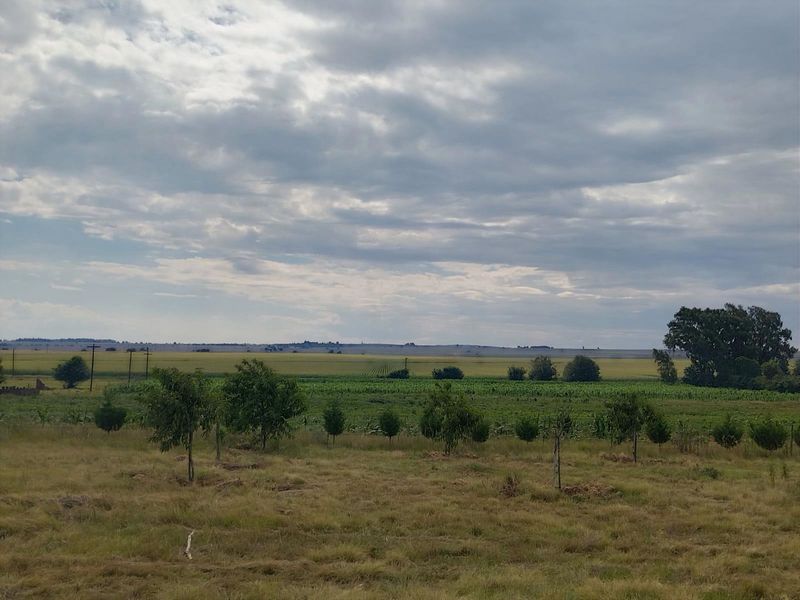 Prime location, Turnkey agricultural operation, ready for its next chapter - Photo 4