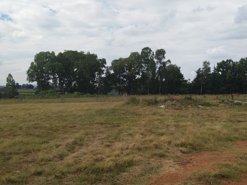 Prime location, Turnkey agricultural operation, ready for its next chapter - Photo 3