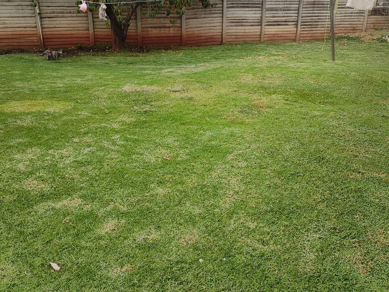 Lovely cozy 3 bedroom house in Bakerton - Photo 3