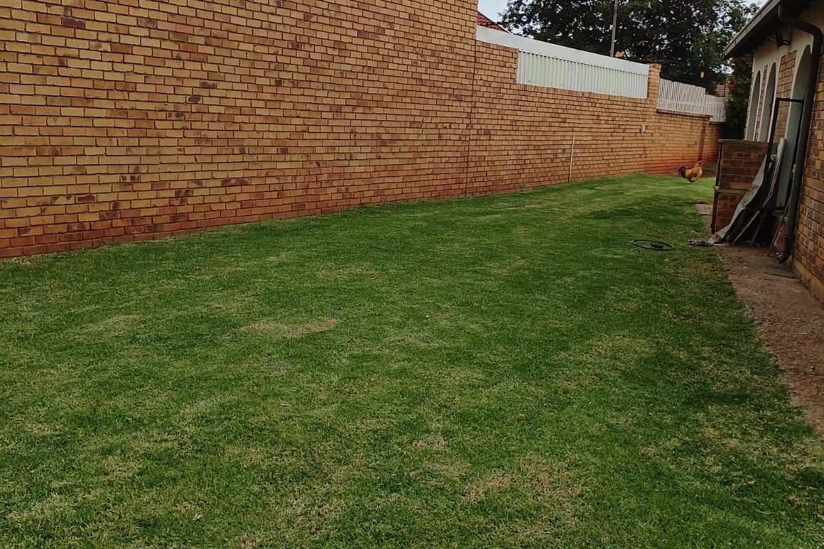 Lovely cozy 3 bedroom house in Bakerton - Photo 4