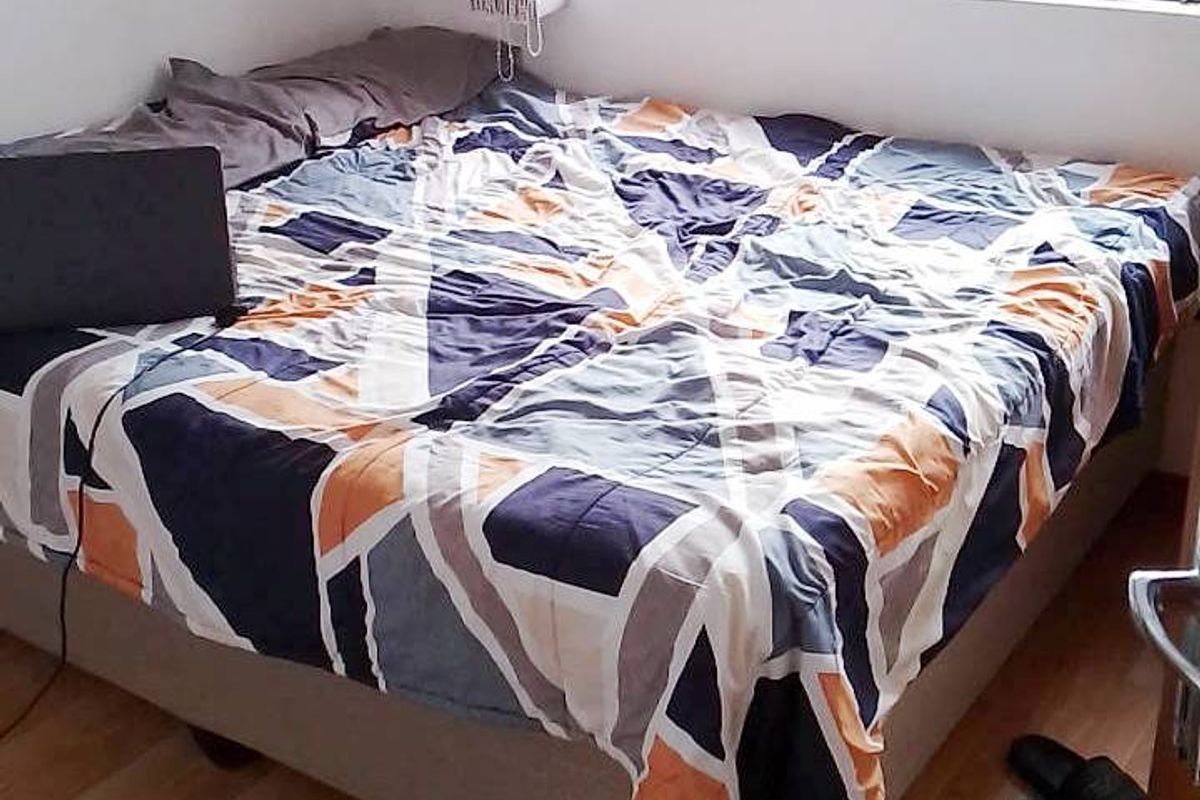 A bedroom featuring laminate flooring and a window fitted with a security gate.