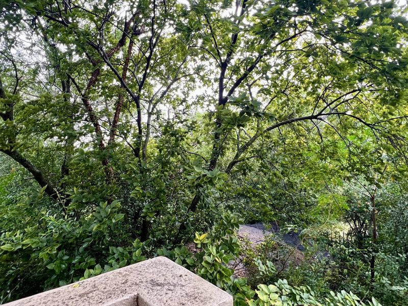 Charming Middle Floor Studio Apartment with Private Balcony - 1st Aug 2026 - Photo 9