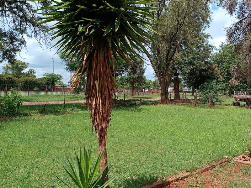 A spacious residential garden featuring a well-maintained lawn, mature yucca plants, and perimeter fencing.