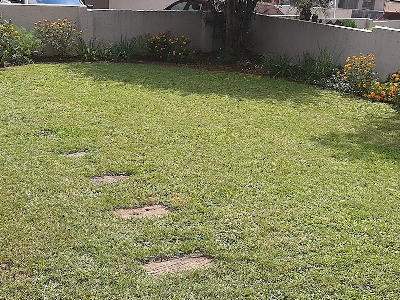 A private rear garden featuring a well-maintained lawn, established flower beds, and a paved stepping stone path enclosed by a boundary wall.