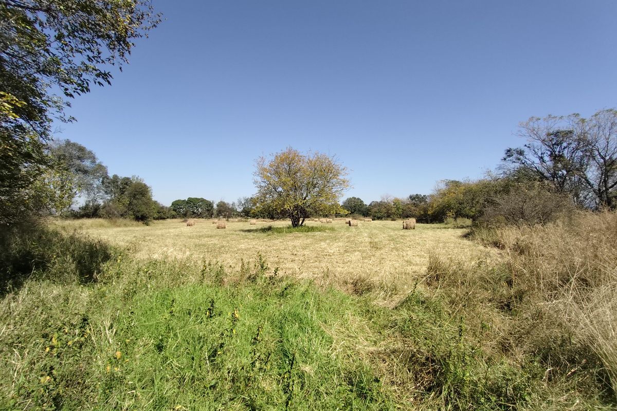 Versatile farmer's dream farm - Photo 4