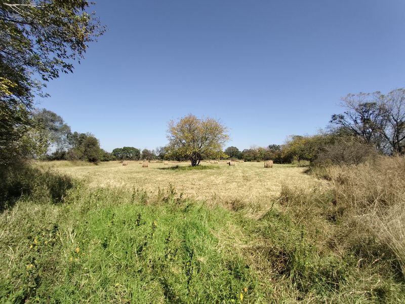 Versatile farmer's dream farm - Photo 4