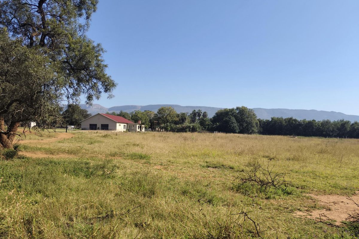 Versatile farmer's dream farm - Photo 5