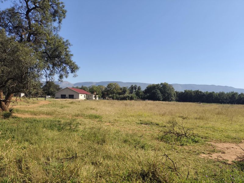 Versatile farmer's dream farm - Photo 5