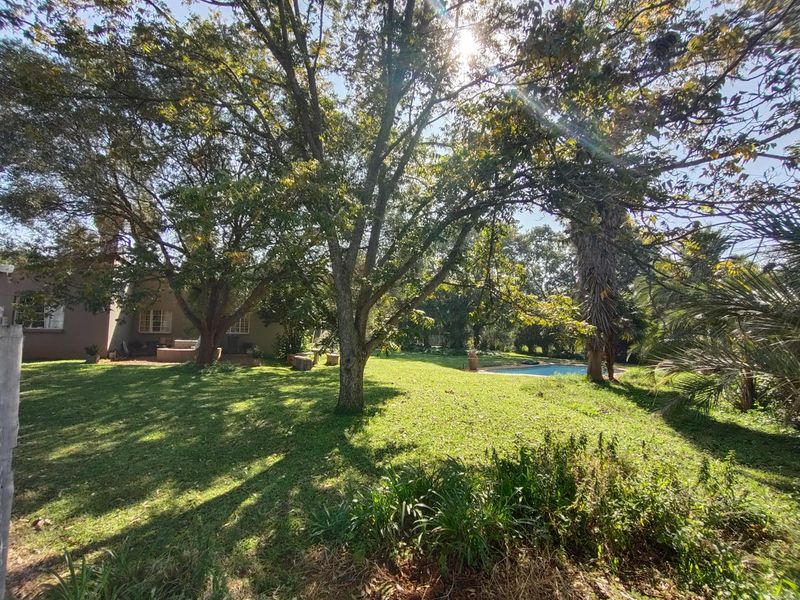 Versatile farmer's dream farm - Photo 10